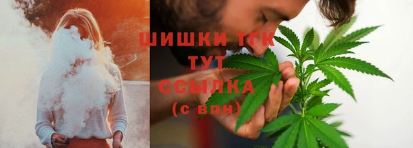 сатива Баксан