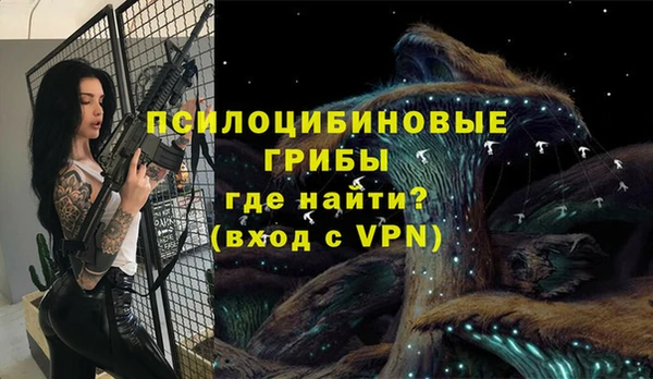 сатива Баксан