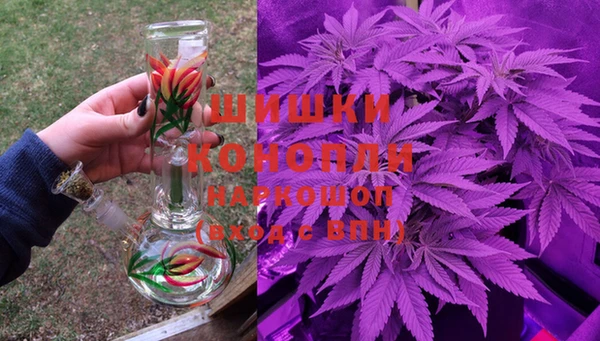 сатива Баксан
