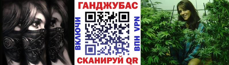 Конопля семена ссылка на мегу ТОР Чехов дарнет шоп